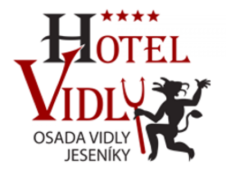 Logo Vidly